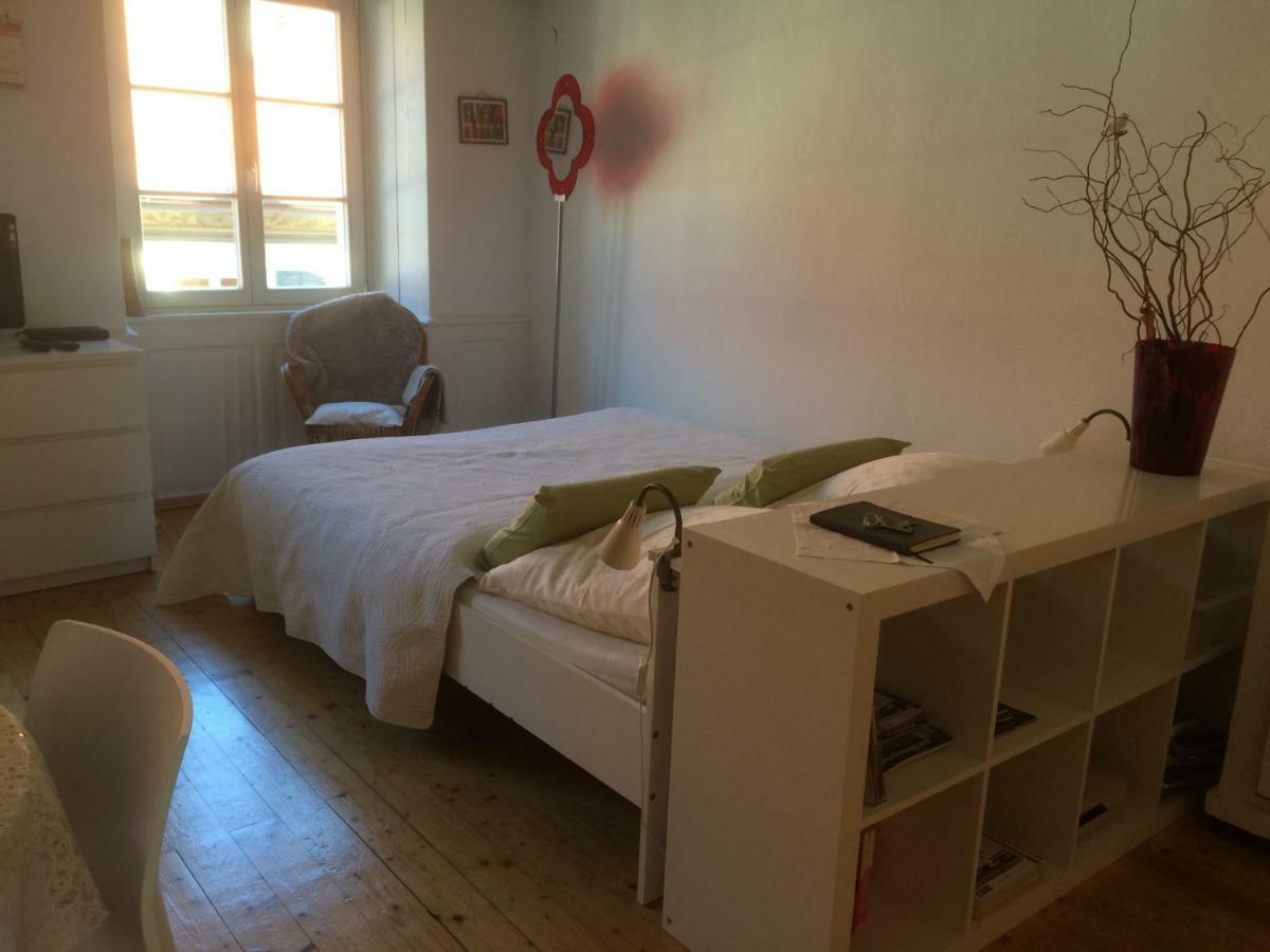 Ferienwohnung Zum Grünen Lindenbaum Z5B Konstanz Exterior foto